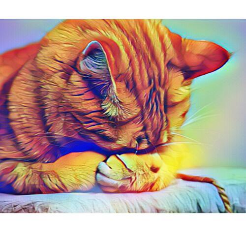 สมาชิกหมายเลข 4810249