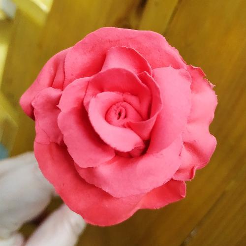 สมาชิกหมายเลข 5150182