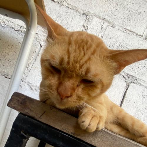 สมาชิกหมายเลข 2847445