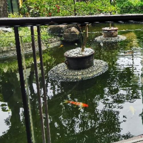 สมาชิกหมายเลข 4237066