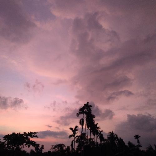 สมาชิกหมายเลข 5601497