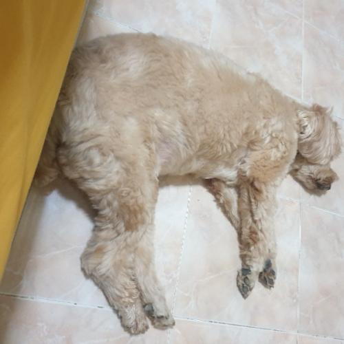 สมาชิกหมายเลข 6168525