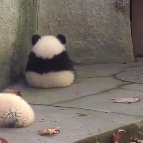 สมาชิกหมายเลข 4847403