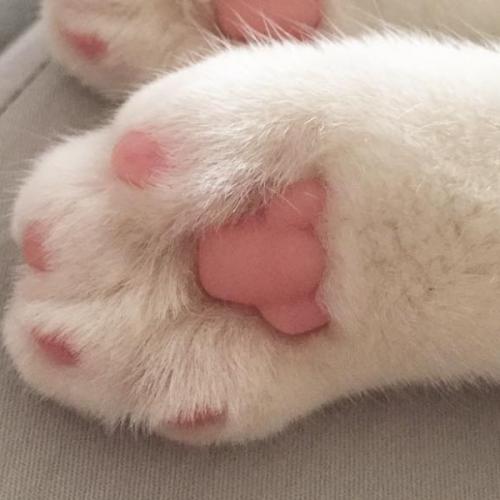 สมาชิกหมายเลข 6800628