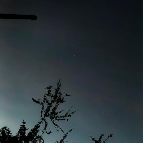 สมาชิกหมายเลข 4220599