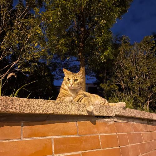 สมาชิกหมายเลข 4815032