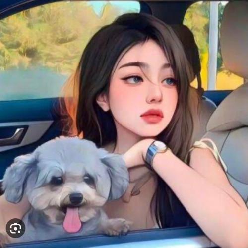 สมาชิกหมายเลข 6532146