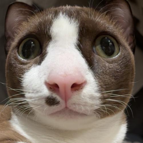 สมาชิกหมายเลข 2961955