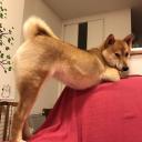 สมาชิกหมายเลข 3724587