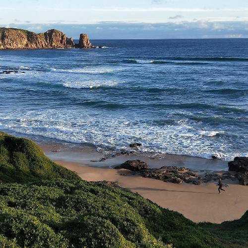 สมาชิกหมายเลข 4806861