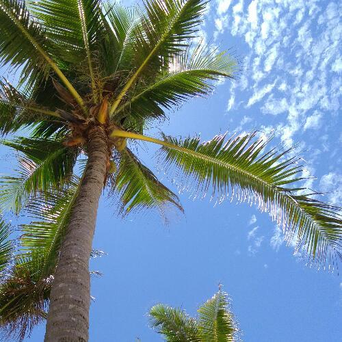 สมาชิกหมายเลข 4810754