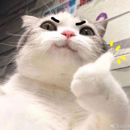 สมาชิกหมายเลข 1391046