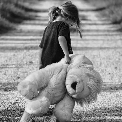 สมาชิกหมายเลข 5136405