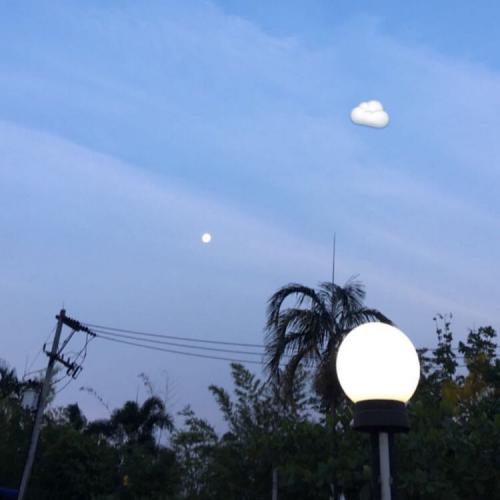 สมาชิกหมายเลข 5602697