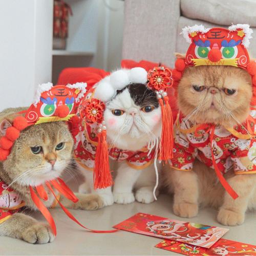 สมาชิกหมายเลข 1421808