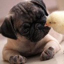 อยากกินอะไรสั่ง