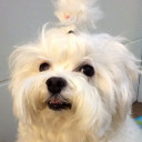 สมาชิกหมายเลข 3412238