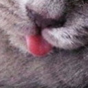 สมาชิกหมายเลข 4811007