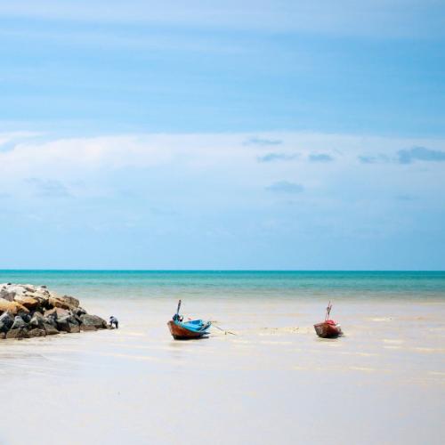 สมาชิกหมายเลข 4264487