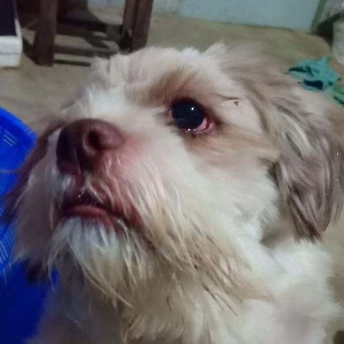 สมาชิกหมายเลข 5191642