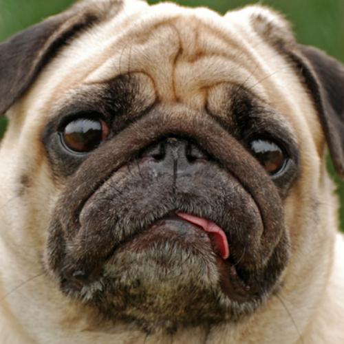 สมาชิกหมายเลข 3804701