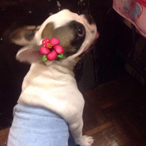 สมาชิกหมายเลข 5603362