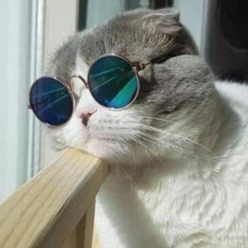 สมาชิกหมายเลข 5750257