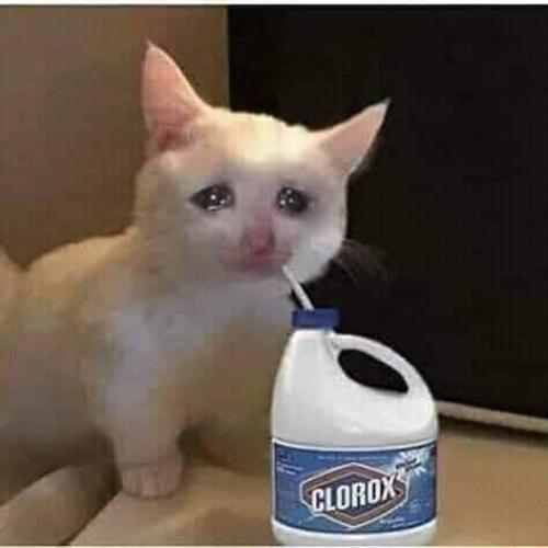 สมาชิกหมายเลข 6169351