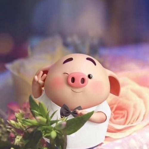 สมาชิกหมายเลข 6169495