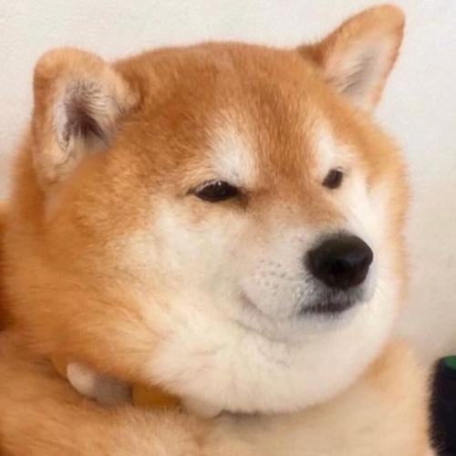 สมาชิกหมายเลข 6802787