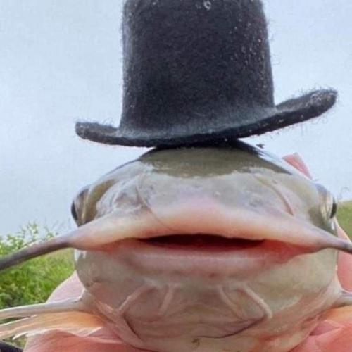 สมาชิกหมายเลข 4291456