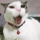 แน๊ปกิ้น