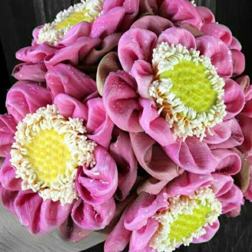 สมาชิกหมายเลข 3763802