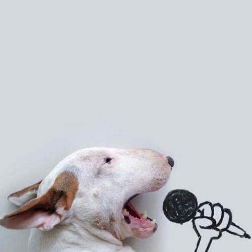 สมาชิกหมายเลข 4811435