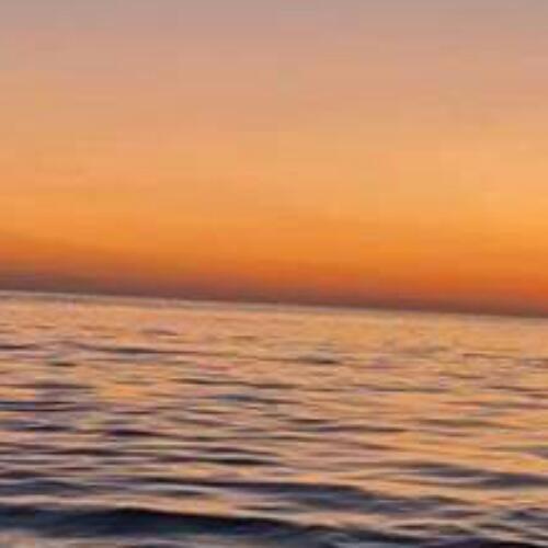 สมาชิกหมายเลข 5164255