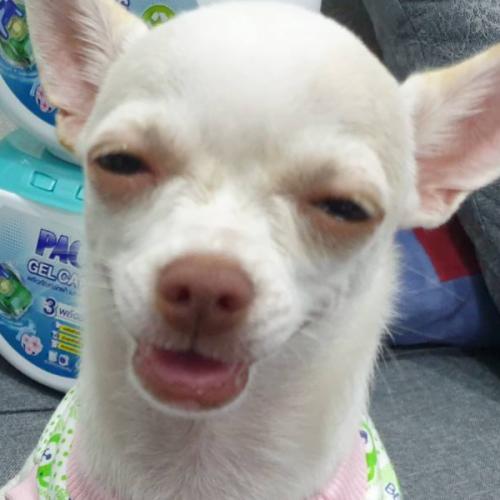 สมาชิกหมายเลข 1256413