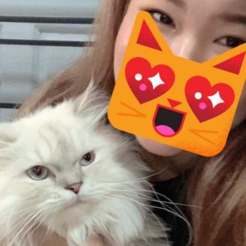 สมาชิกหมายเลข 5156051