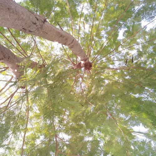 สมาชิกหมายเลข 5557758