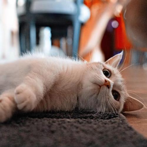 สมาชิกหมายเลข 5869873