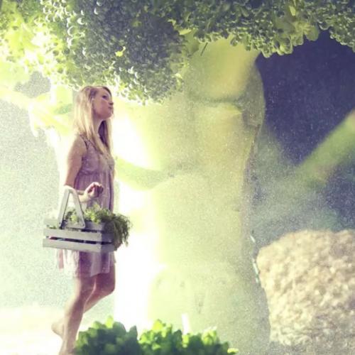 สมาชิกหมายเลข 6031689