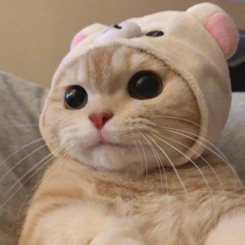 สมาชิกหมายเลข 6167767