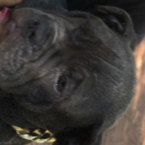 สมาชิกหมายเลข 2263026