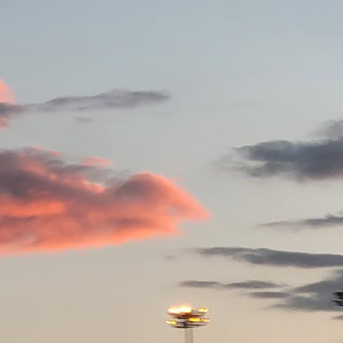 สมาชิกหมายเลข 5577142