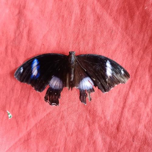 สมาชิกหมายเลข 6803220