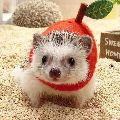 สมาชิกหมายเลข 5164070