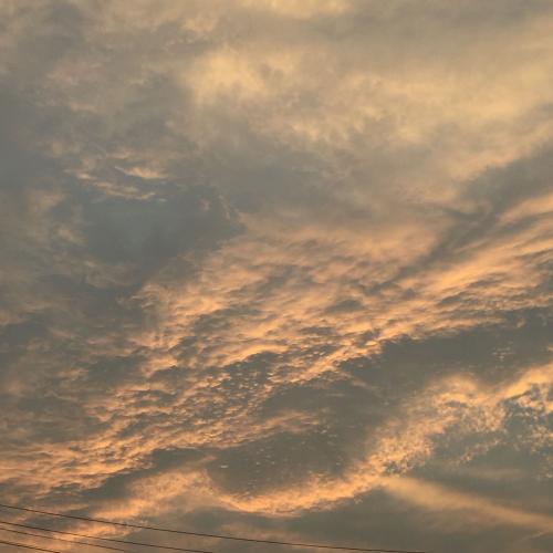 สมาชิกหมายเลข 5194471