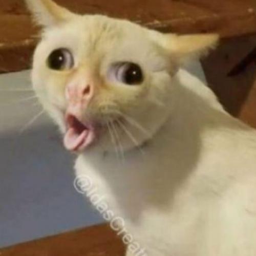 สมาชิกหมายเลข 5283855