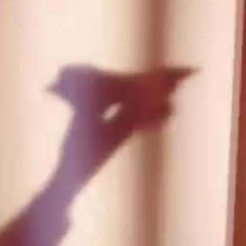 สมาชิกหมายเลข 5604599