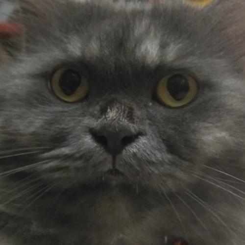 สมาชิกหมายเลข 3736844