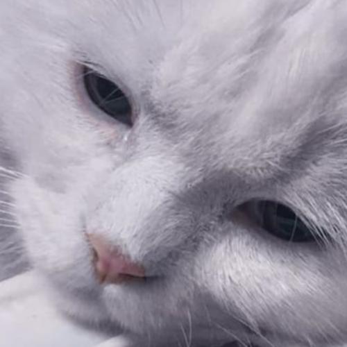 สมาชิกหมายเลข 6164354